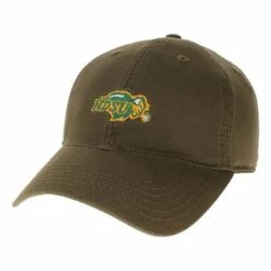 Best reviews of 🛒 College Hats & Caps Legacy 👩 Women's North Dakota State Bison Mini Champ Hat ⌛